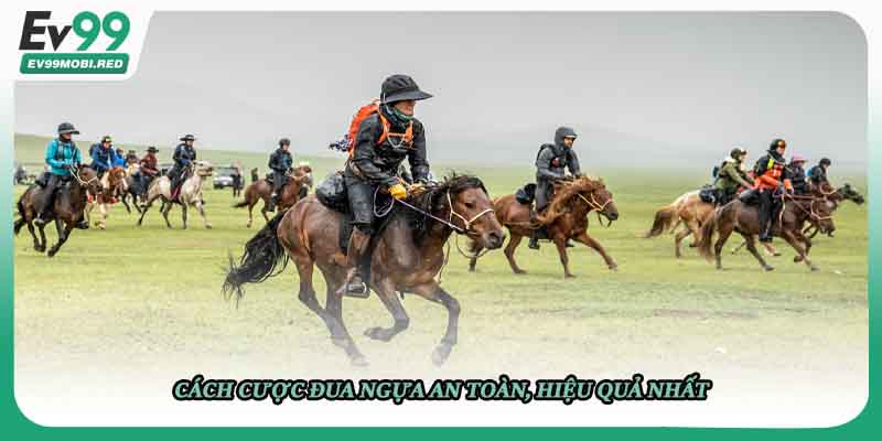 Cách cược đua ngựa an toàn, hiệu quả nhất