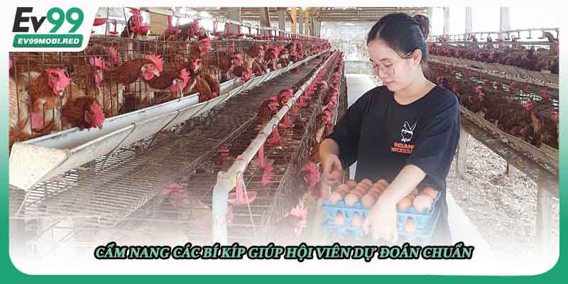 Cẩm nang các bí kíp giúp hội viên dự đoán chuẩn